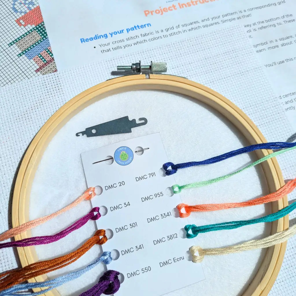 Do You Even Read Bro? Snarky Bookworm Cross Stitch Kit by Room for Calm