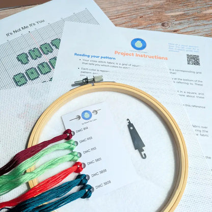 It’s Not Me It’s You - Snarky Retro Cross Stitch Kit by Room for Calm