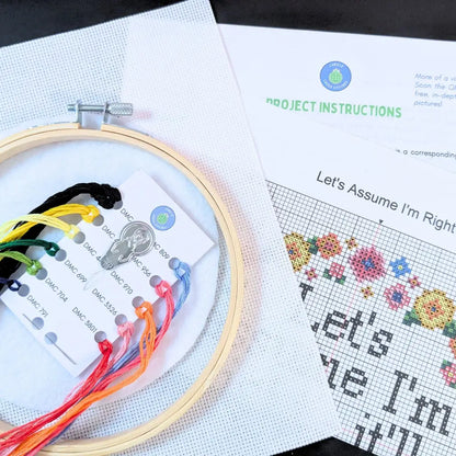 Let’s Assume I’m Right - Snarky Floral Cross Stitch Kit by Room for Calm