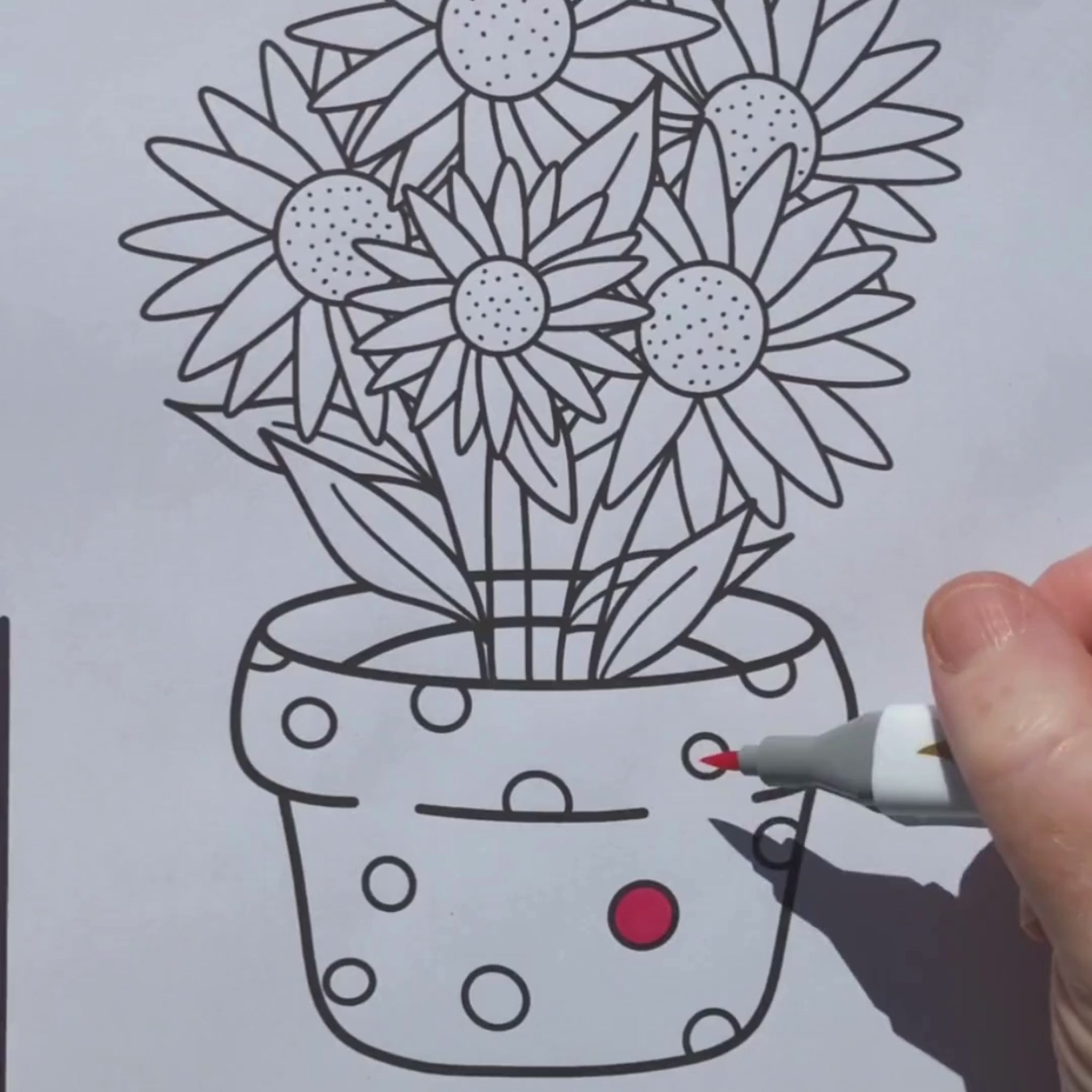 Plants and flowers coloring pages by Room for Calm
